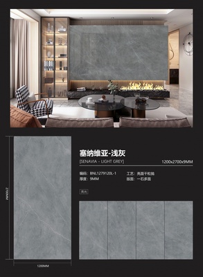 塞纳维亚-浅灰 1279120L-1