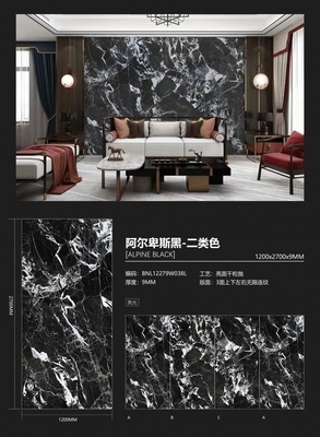 阿尔卑斯黑 12279W038L