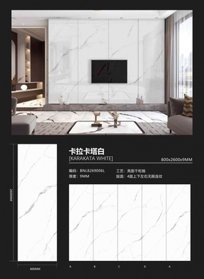 卡拉卡塔白 8269006L