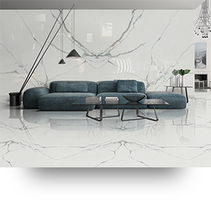 DM122402魚(yú)肚白